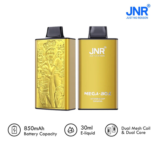JNR Mega Box 25000 Puffs Disposable Vape(10 PCS) 20 Flavors
