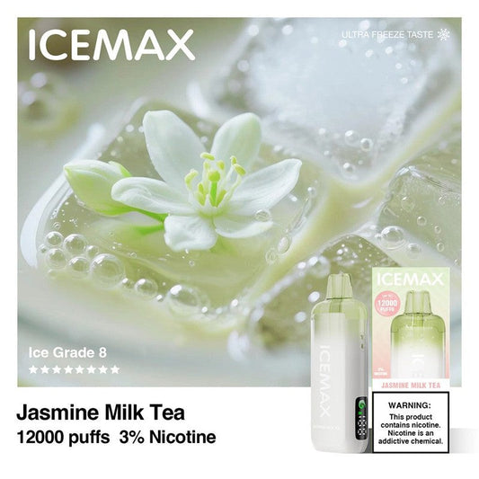 Ice Max 12000 Puffs 12K Disposable Vape 10ml 3% High in ice and low in sweetness, with consistent quality