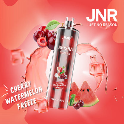 JNR Shisha Hookah 12000 (Box of 10) 24ml 750mAh Disposable vape 16 flavors
