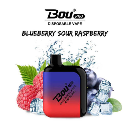 Bou Pro 7000 Kit Rechargeable