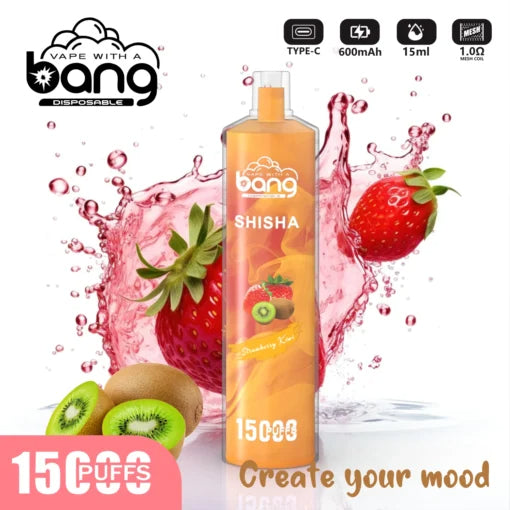 Bang 15000 Puffs Vape 15K Disposable Vape Pen E Cigarette Prefilled 25ml 600mAh Disposable Vape 12 Flavors
