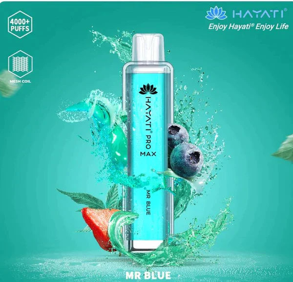 Hayati Pro Max 4000 Puffs