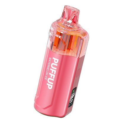 Puffup 25000 Puffs Disposable Vape 15ml 5%